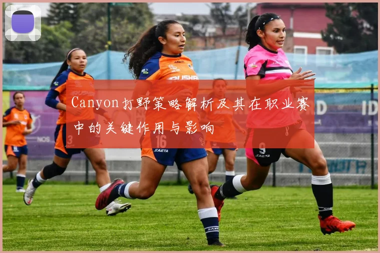 Canyon打野策略解析及其在职业赛中的关键作用与影响
