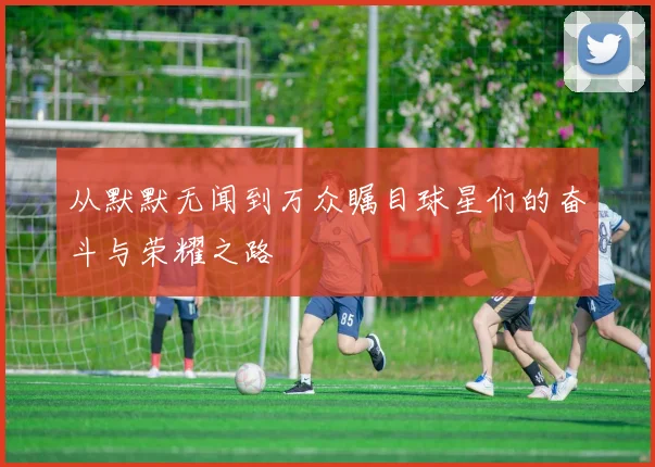 从默默无闻到万众瞩目球星们的奋斗与荣耀之路