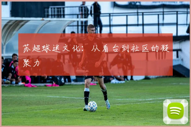 苏超球迷文化：从看台到社区的凝聚力