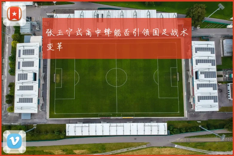 张玉宁式高中锋能否引领国足战术变革