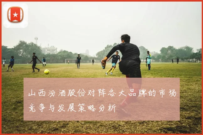山西汾酒股份对阵各大品牌的市场竞争与发展策略分析