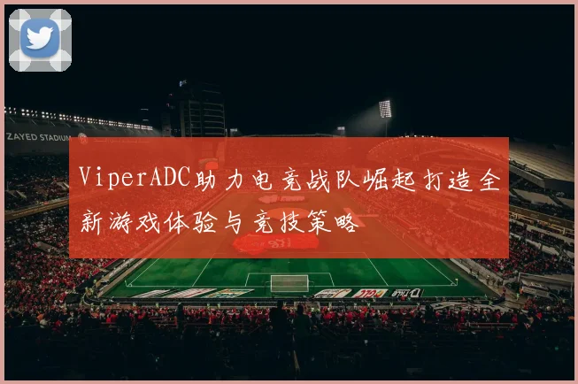 ViperADC助力电竞战队崛起打造全新游戏体验与竞技策略
