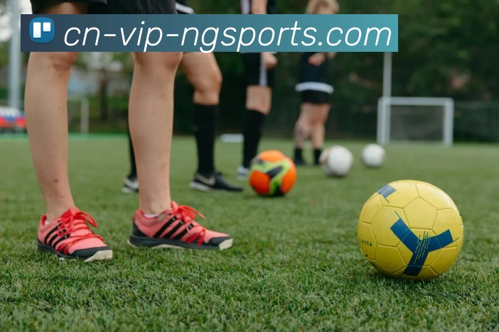 ng体育服务体系
